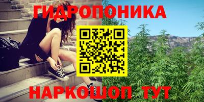 PSILOCYBIN Заволжье