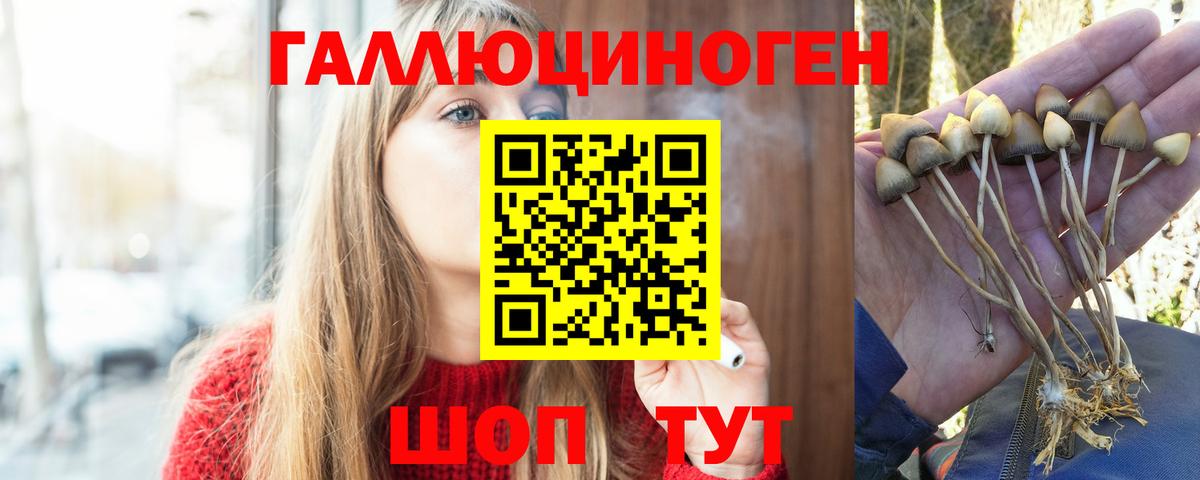 Галлюциногенные грибы прущие грибы  Псилоцибиновые грибы Cubensis  Новошахтинск  Вход с VPN 