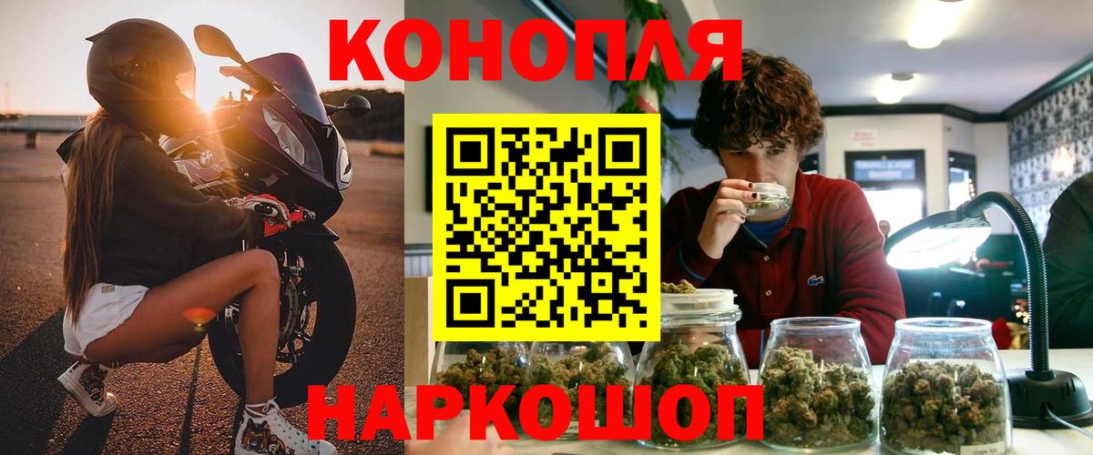 Канабис планчик Новошахтинск